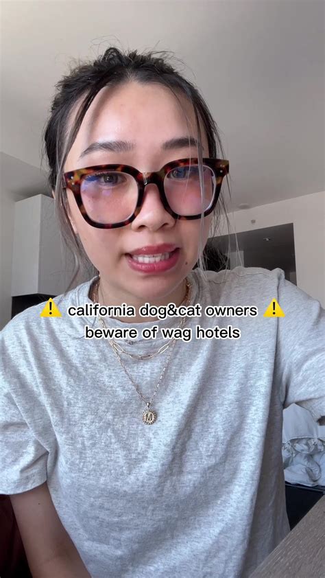 SF Luxury 'Wag Hotels' caught mistreating dogs despite $120 rate ...