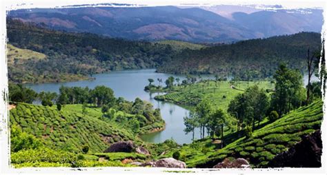 Coffee Routes | Kerala Resorts | Resorts in Thekady,Idukki | Family ...