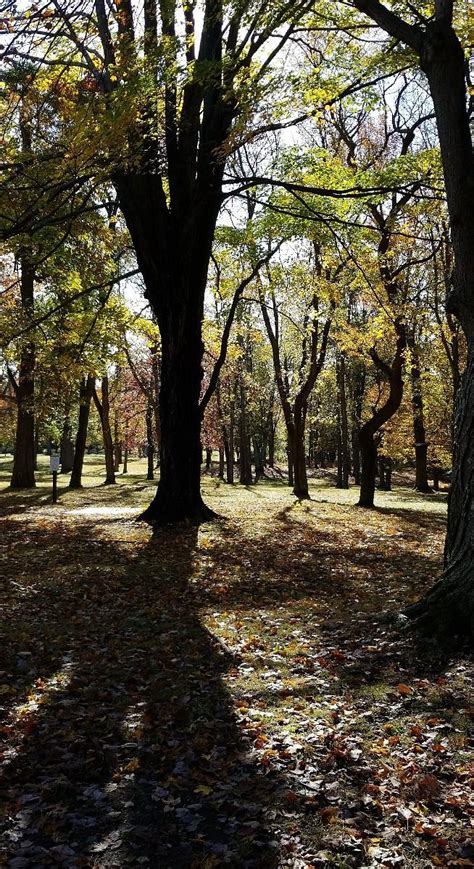 THOMPSON PARK (2025) All You Need to Know BEFORE You Go (with Photos ...