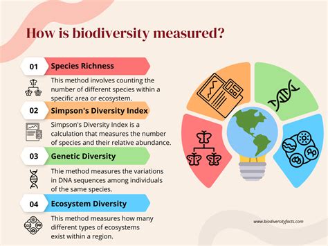 How Is Biodiversity Measured? Simple Guide | Biodiversity Facts