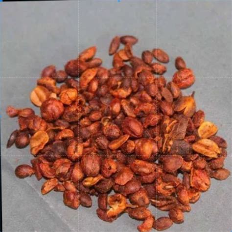 Malkangni Oil - Malkangni Oil Celastrus Paniculatus Manufacturer from ...
