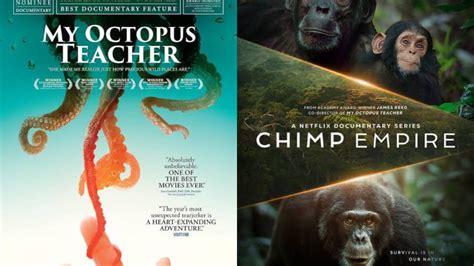 Image result for Alien Animal Documentary