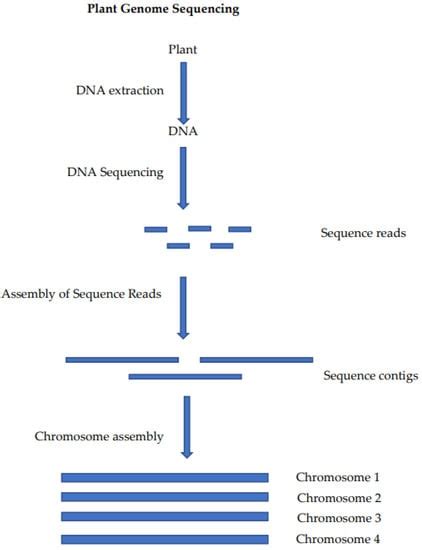 Applied Biosciences | Special Issue : Feature Papers for the Inaugural ...
