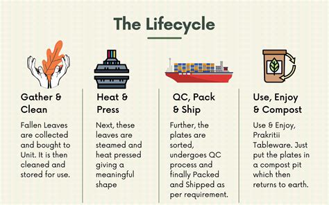 About Us - Prakritii