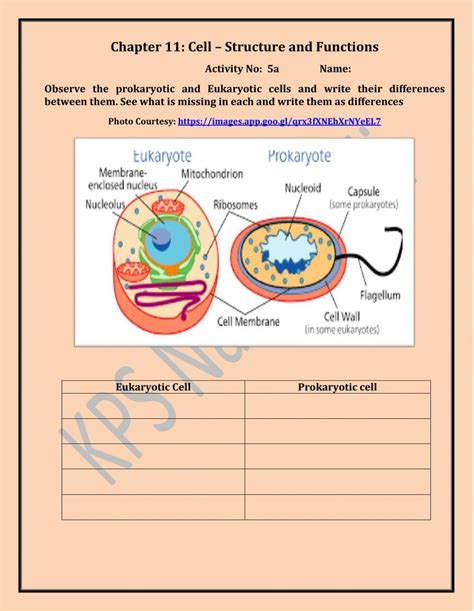 Cell Structure Worksheet Answers 的图像结果