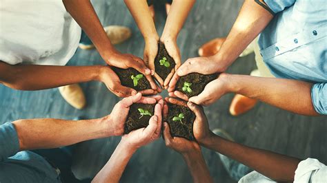 Image result for Our Health Services Explained