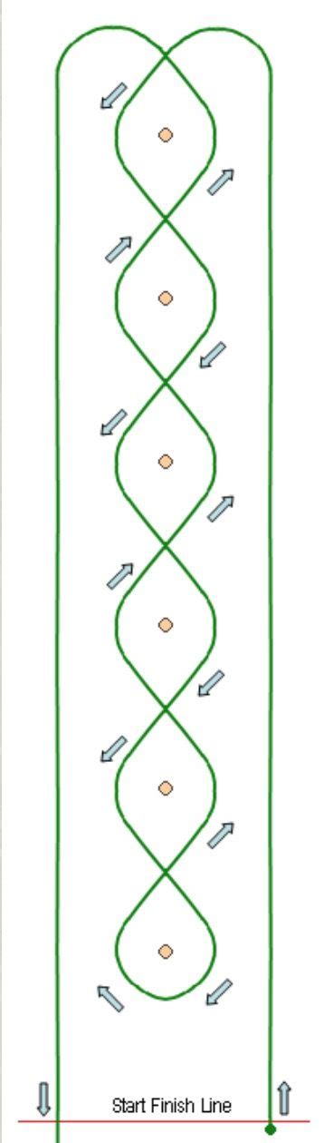 Image result for Pole Bending Tips