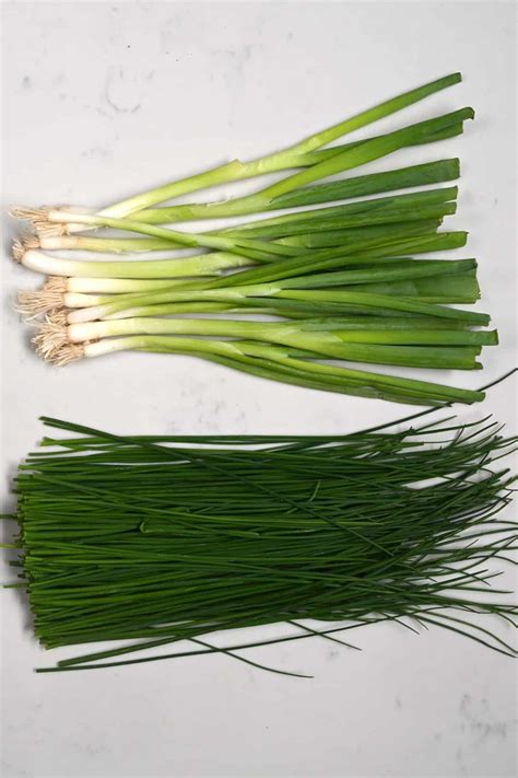 What Is The Difference Between Chives Vs Green Onions Scallions Vs.