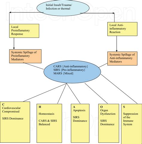 Figure 1 from Sepsis and Dialysis Disequilibrium Syndrome | Semantic ...