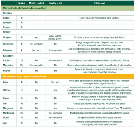 Nutrient Mobility explained - BioAg