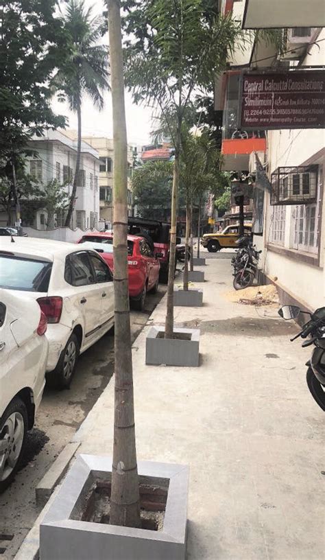 Sidewalks at Kalighat area to be made wheelchair-friendly by Puja