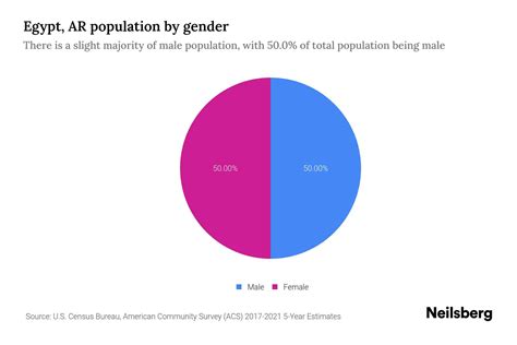 Egypt, AR Population by Gender - 2023 Egypt, AR Gender Demographics ...