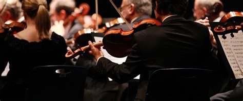 String Orchestra 的图像结果