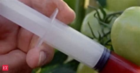 A ban on the use of crops with transgenic traits is unscientific and ...