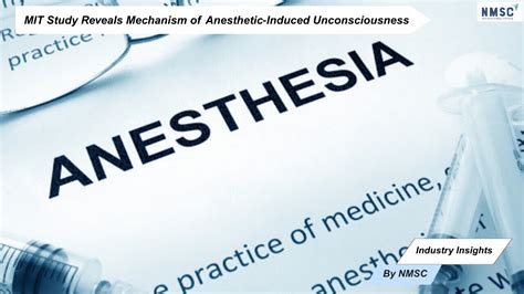 MIT Study Reveals Mechanism of Anesthetic Unconsciousness