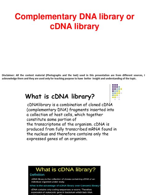 cDNA Library Definition 的图像结果