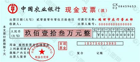 新疆版中国农业银行现金支票打印模版