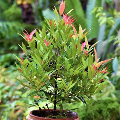 Della Luxury Products | Iconic Projects Design, Manufacturing & Built