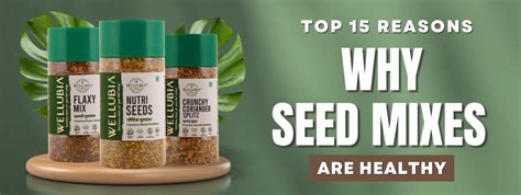 Top 15 Reasons Why Seed Mixes are Healthy – Wellubia