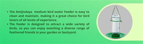 Amijivdaya Medium Bird Water Feeder (1 Liter) : Amazon.in: Pet Supplies
