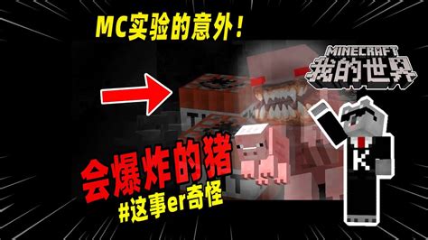 Minecraft我的世界诡异事件：玩家在MC实验，不料制造出了会爆炸的猪！