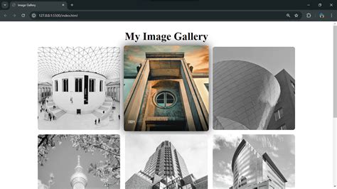 Image result for Image Gallery HTML/CSS Code