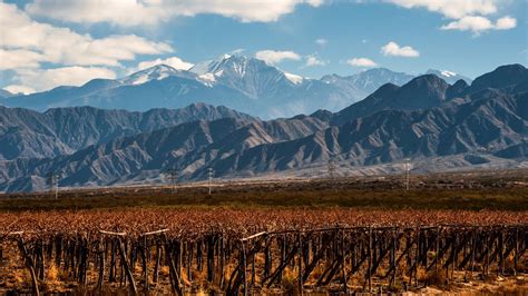 Mendoza Argentina Wine