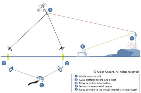 Image result for Sea Creatures Alert Program