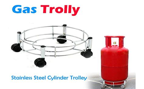 BIRDWING 2 Pic Stainless Steel Gas Cylinder Trolley with Wheel |Lpg ...