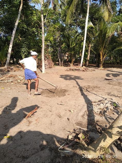 Speech Recognition in Agriculture and Finance for the Poor in India.