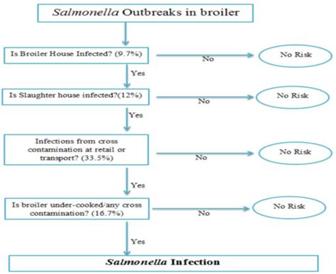 Quantitative Risk Assessment Model of Human Salmonellosis Resulting ...