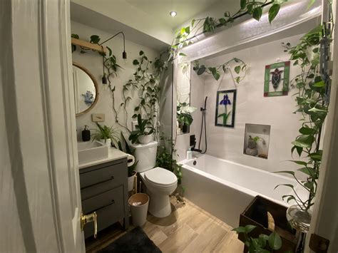 20 Best Plants For Bathroom