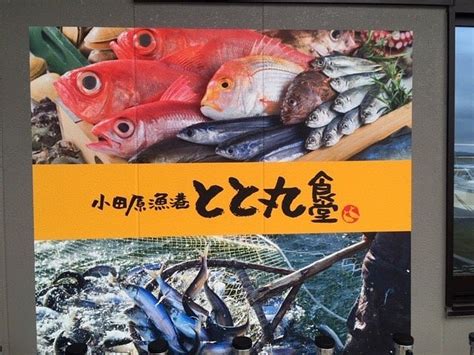 MANADZURU UMI NO EKI (2025) All You Need to Know BEFORE You Go (with ...