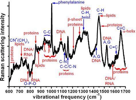 Raman Spectroscopy and Related Techniques in Biomedicine