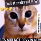 Image result for Animation GUI Script