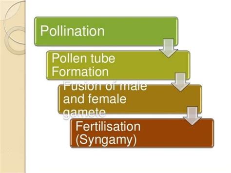 Image result for Class 10 Reproduction Shubham Pathak