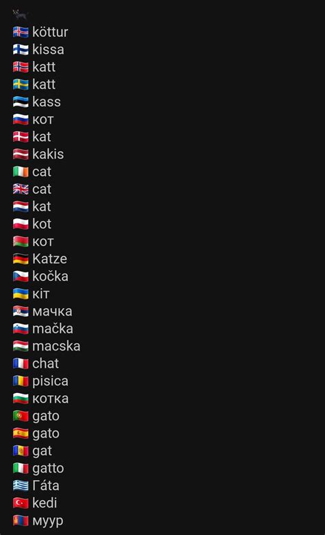 The word "cat" in different languages : r/cats