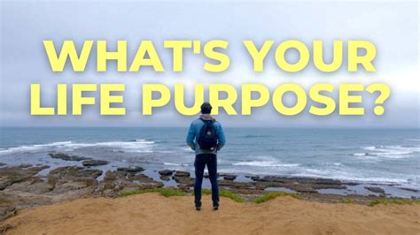 Personality Examples 的图像结果