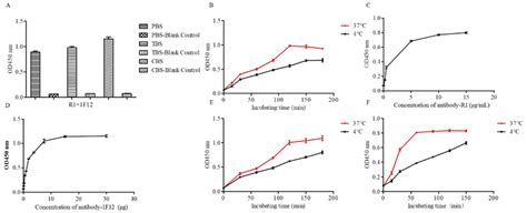 Image result for Optimization Elisa