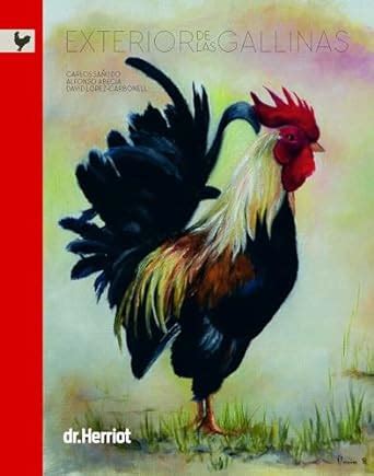 Buy Exterior de las Gallinas Book Online at Low Prices in India ...