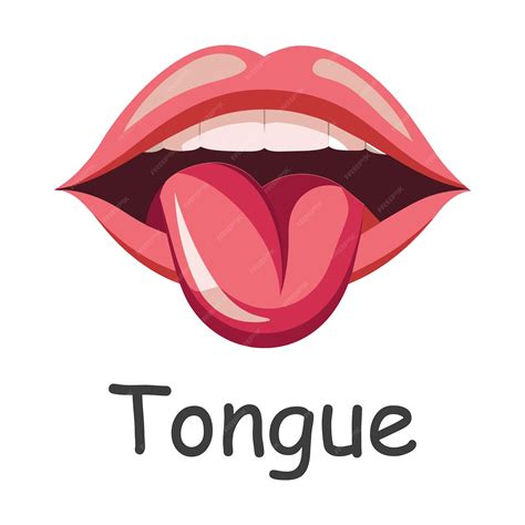 Premium Vector | Tongue human body parts flat vector illustration on ...