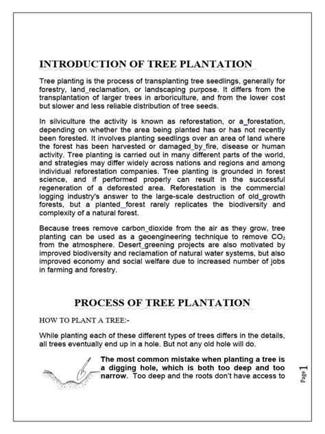 Tree Plantation Project | PDF | Trees | Soil