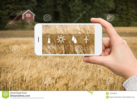 “互联网+农业”空间最大 - 行业新闻 - 北京东方迈德科技有限公司