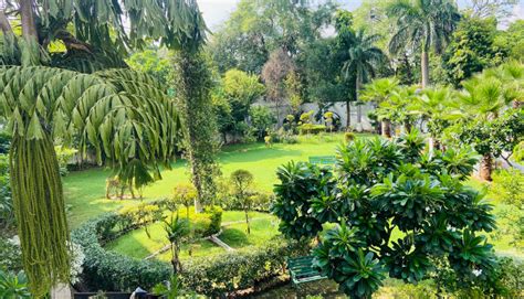 デリーの重要な10のグルドワーラー 7/10【Gurdwara Damdama Sahib】 | インド日記