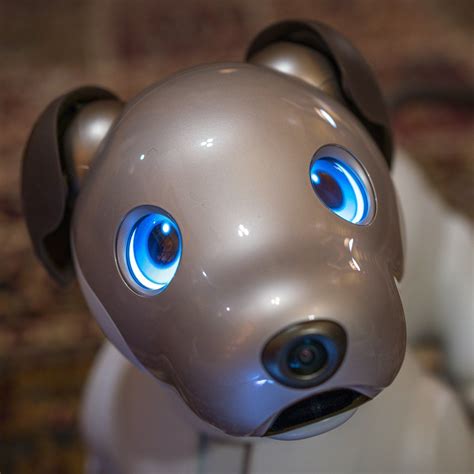 Sony revives aibo robot dog toy – Artofit