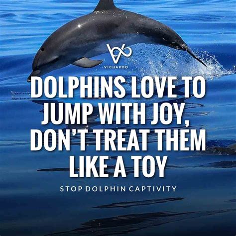 Save dolphins slogans and quotes national dolphin day – Artofit