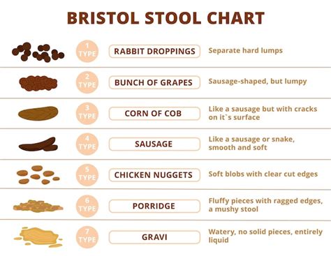 Bristol échelle des selles types de caca infographique Problèmes ...