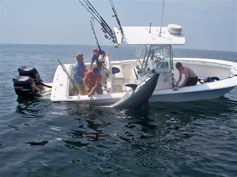 Photos de l'encyclopédie | Tuna fishing, Saltwater fishing, Ocean fishing