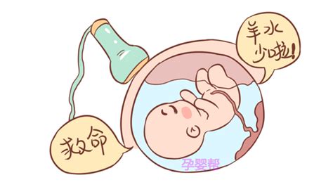 孕期出现这2种情况，说明胎儿缺氧了|胎儿|胎动|怀孕_新浪育儿_新浪网