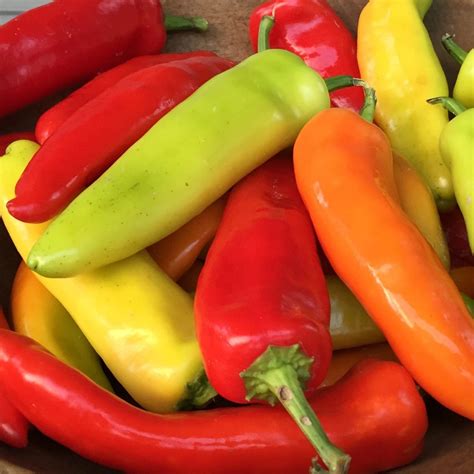 Hungarian Hot Wax Pepper Seeds | Tim's Tomatoes